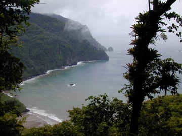 20061217001759-wafer-20bay.jpg